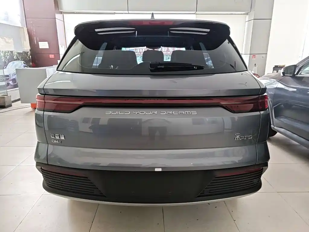 BYD Pro New Energy — миниатюра 6
