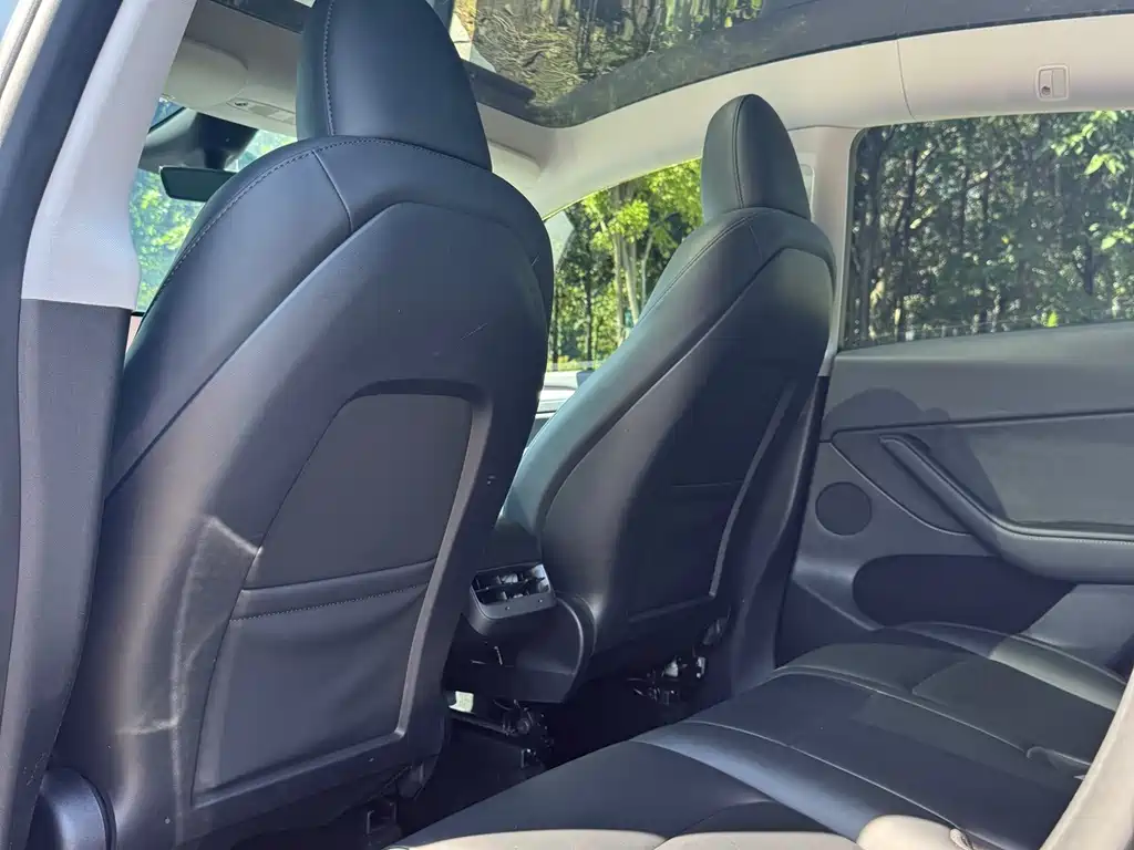 Tesla Model Y — миниатюра 19
