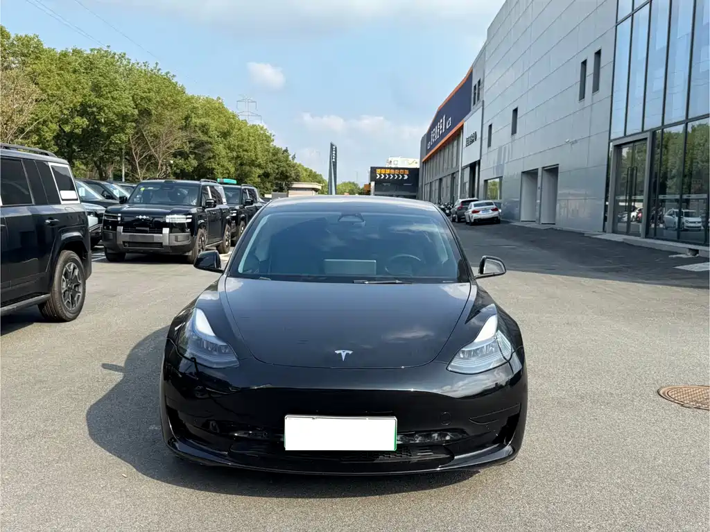 Tesla Model 3 — миниатюра 2