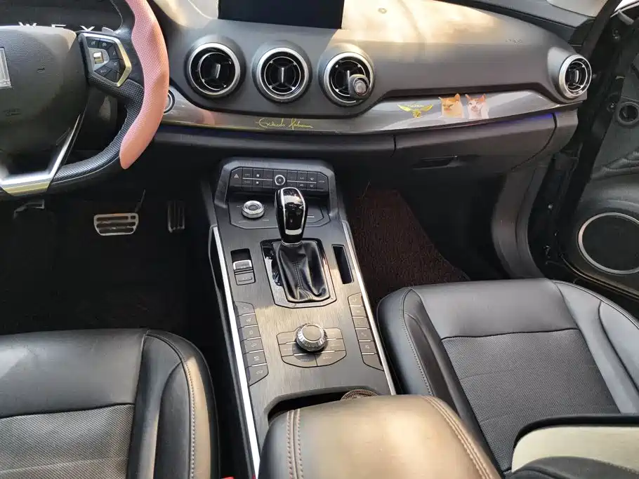Wey Wey P8 — миниатюра 16