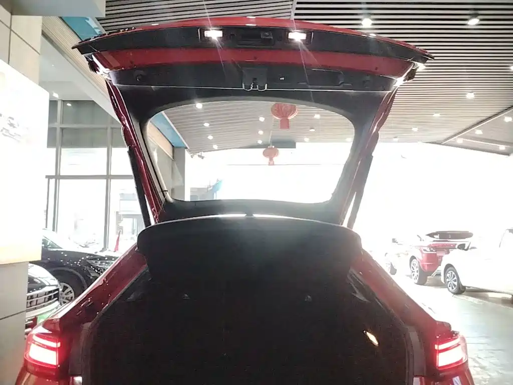 Volkswagen Lamando — миниатюра 19