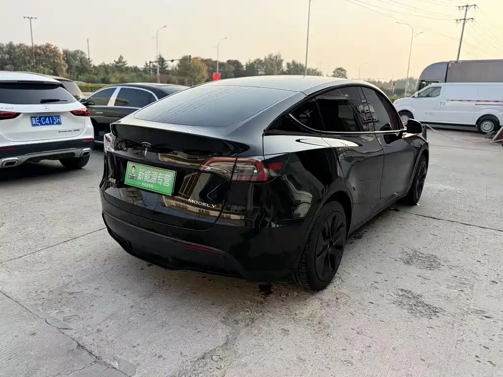 Tesla Model Y — миниатюра 9