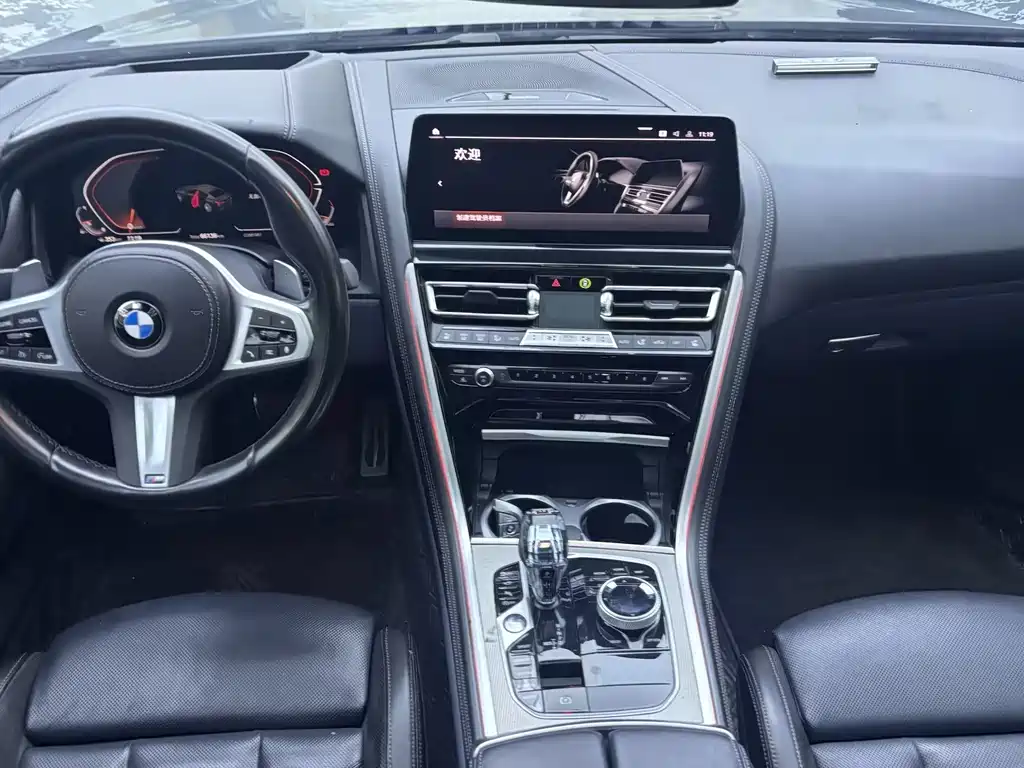 BMW 8 Series — миниатюра 10