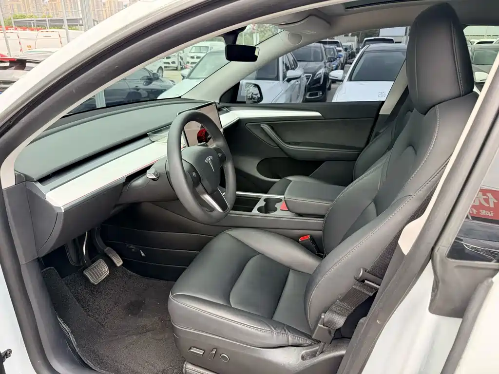 Tesla Model Y — миниатюра 2