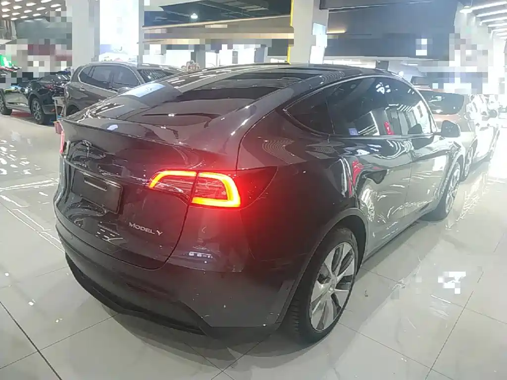 Tesla Model Y — миниатюра 7