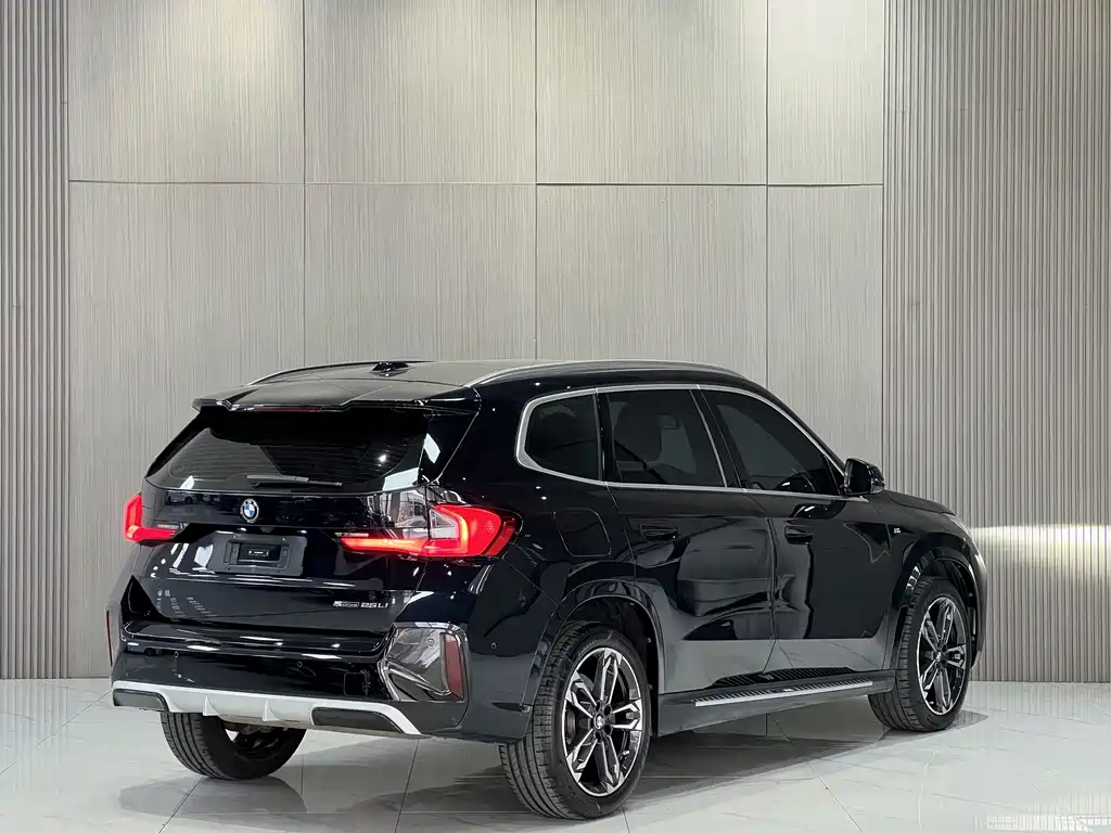 BMW X1 — миниатюра 11
