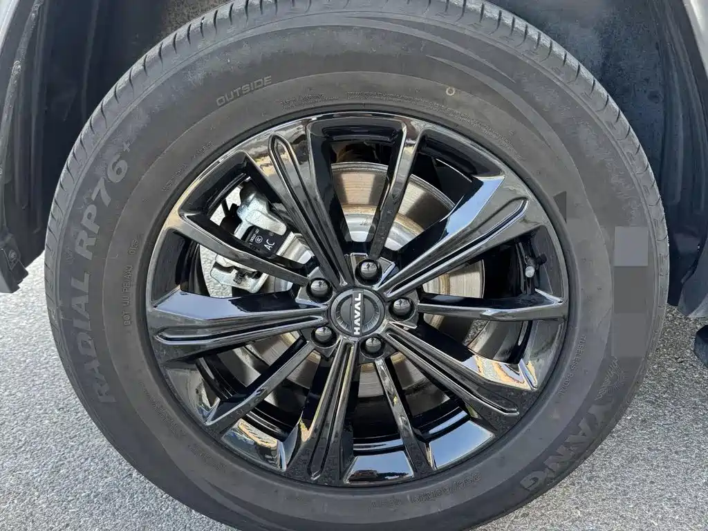 Haval Menglong New Energy — миниатюра 14
