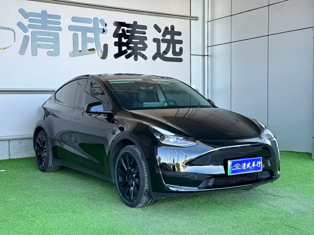 Tesla Model Y — миниатюра 2