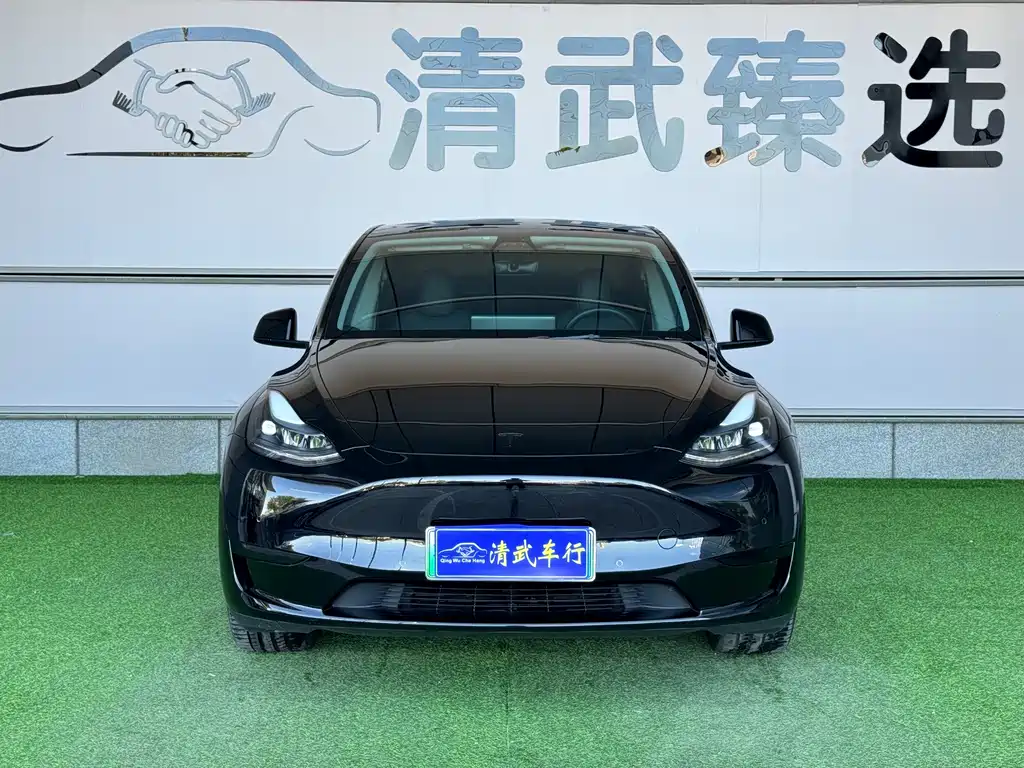 Tesla Model Y — миниатюра 3