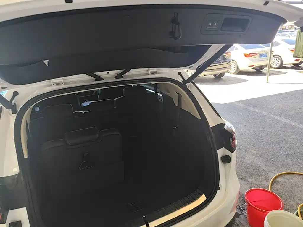 BYD Tang New Energy — миниатюра 19