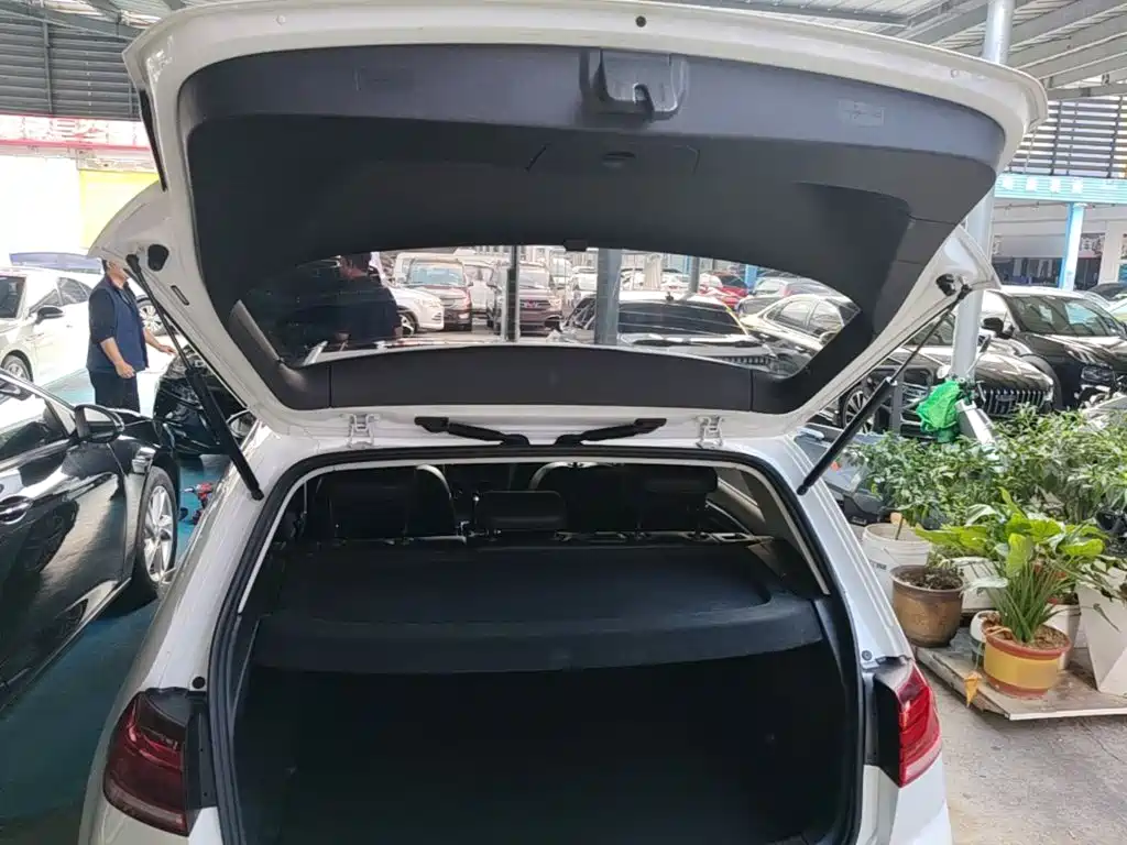 Volkswagen Golf — миниатюра 19