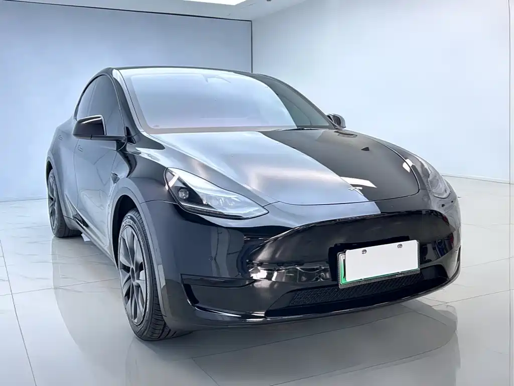 Tesla Model Y — миниатюра 3