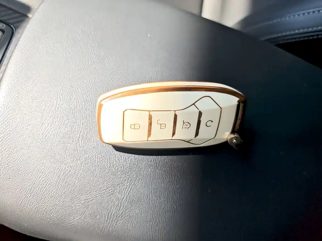 BYD Pro — миниатюра 9