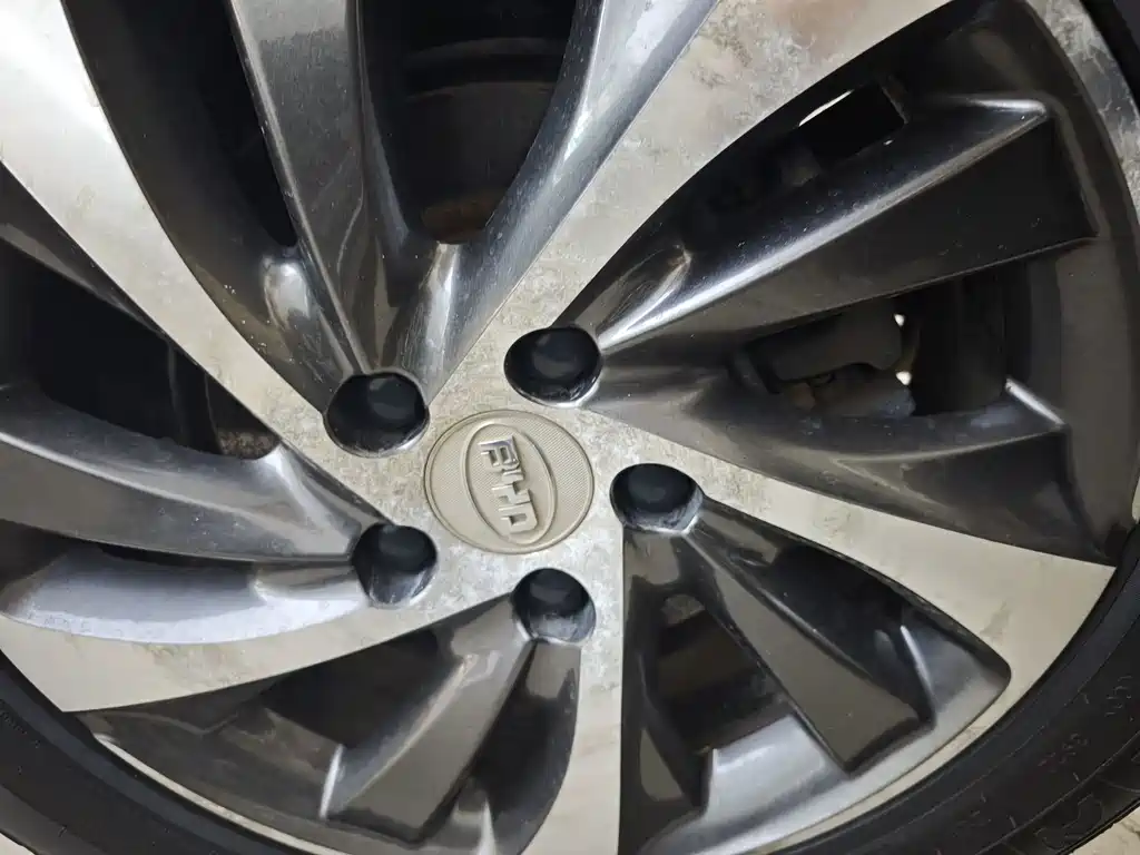BYD Song — миниатюра 12