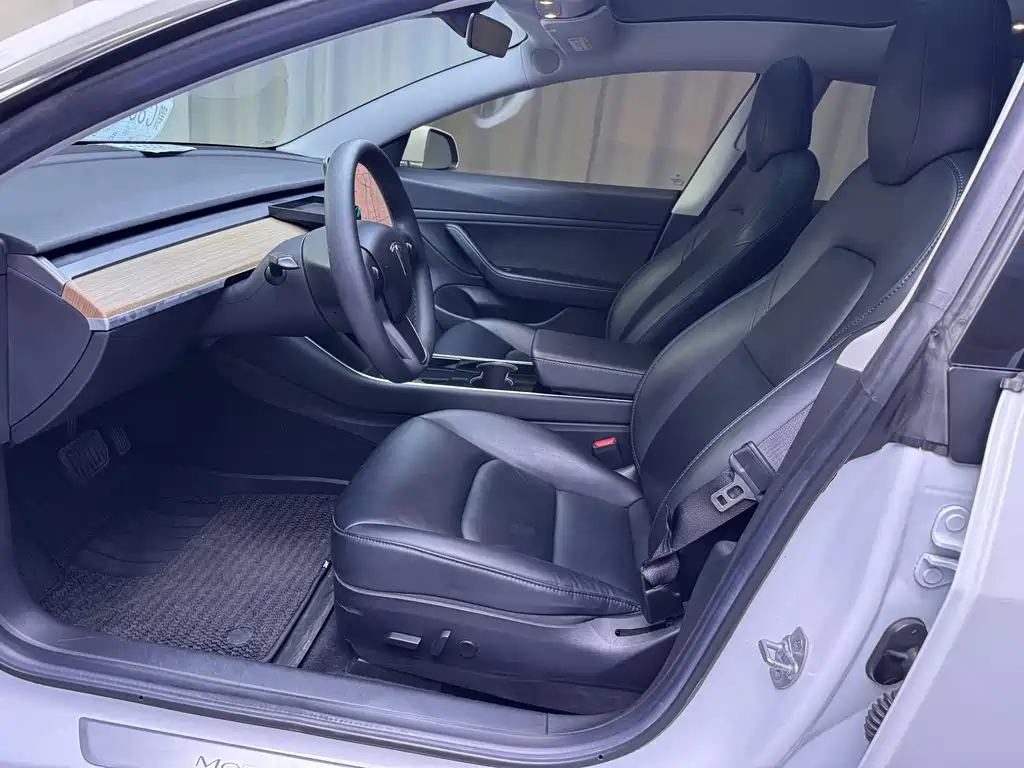 Tesla Model 3 — миниатюра 4