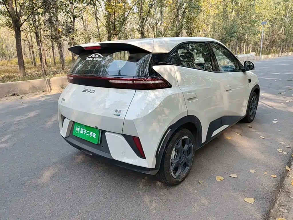 BYD Seagull — миниатюра 7
