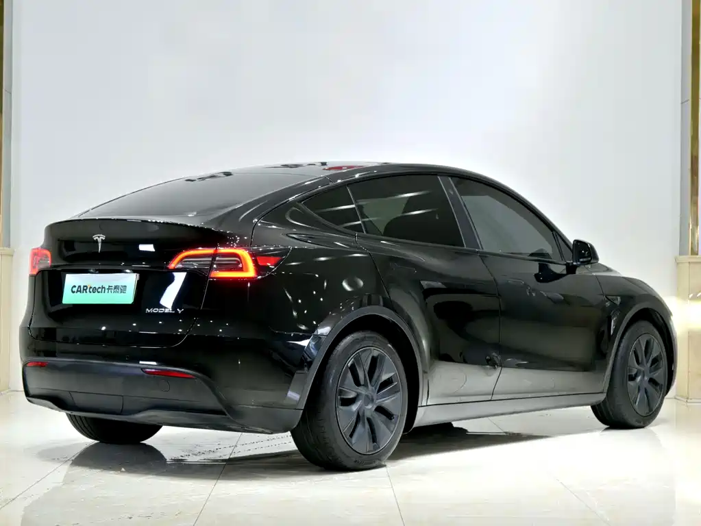Tesla Model Y — миниатюра 26