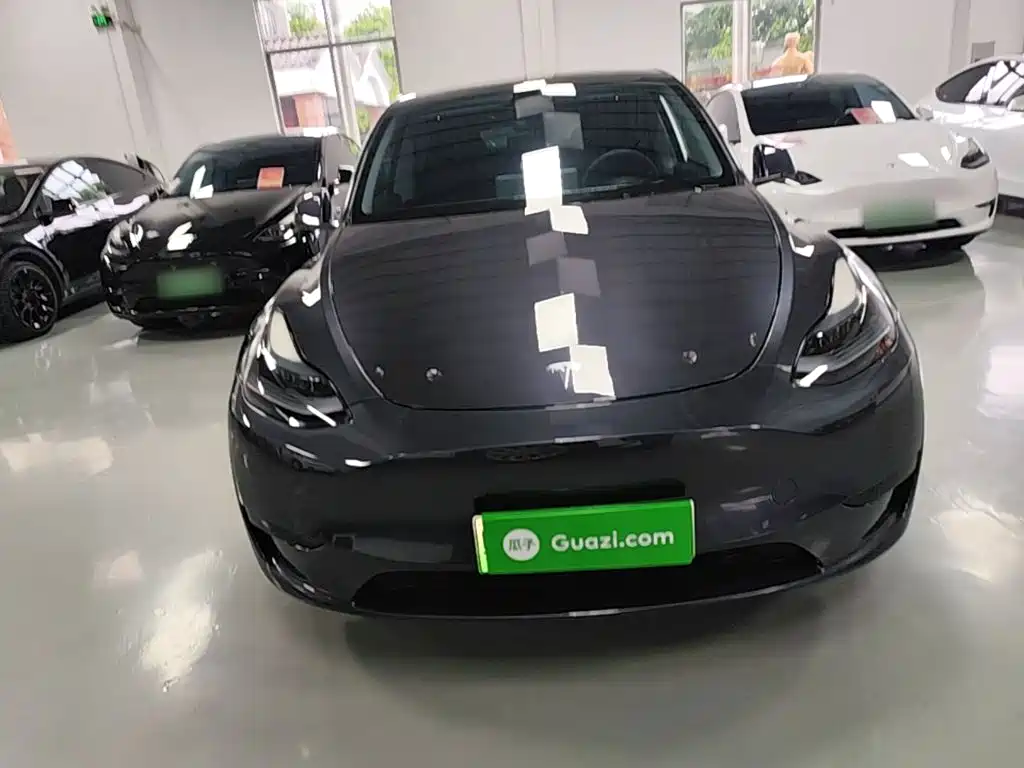 Tesla Model Y — миниатюра 3