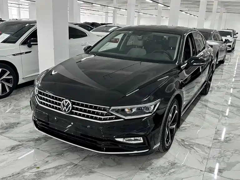 Volkswagen Magotan — миниатюра 2