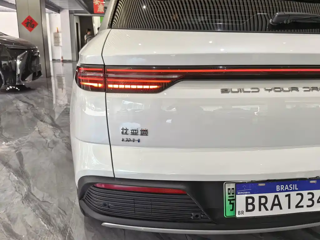 BYD Pro New Energy — миниатюра 26