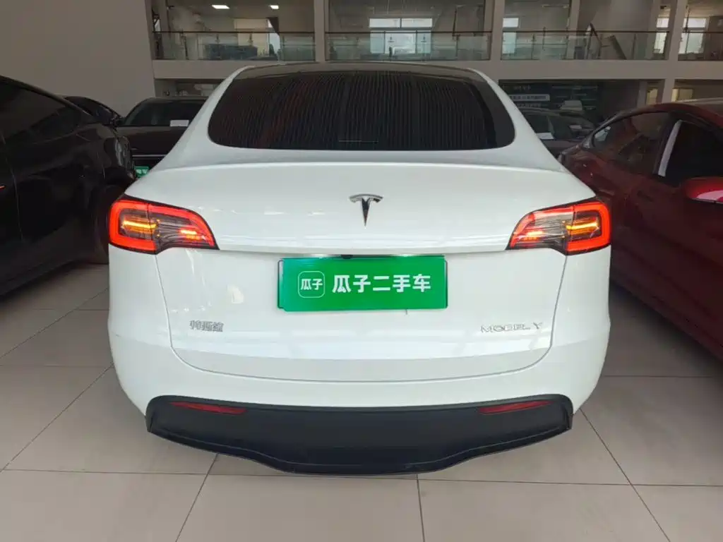 Tesla Model Y — миниатюра 6