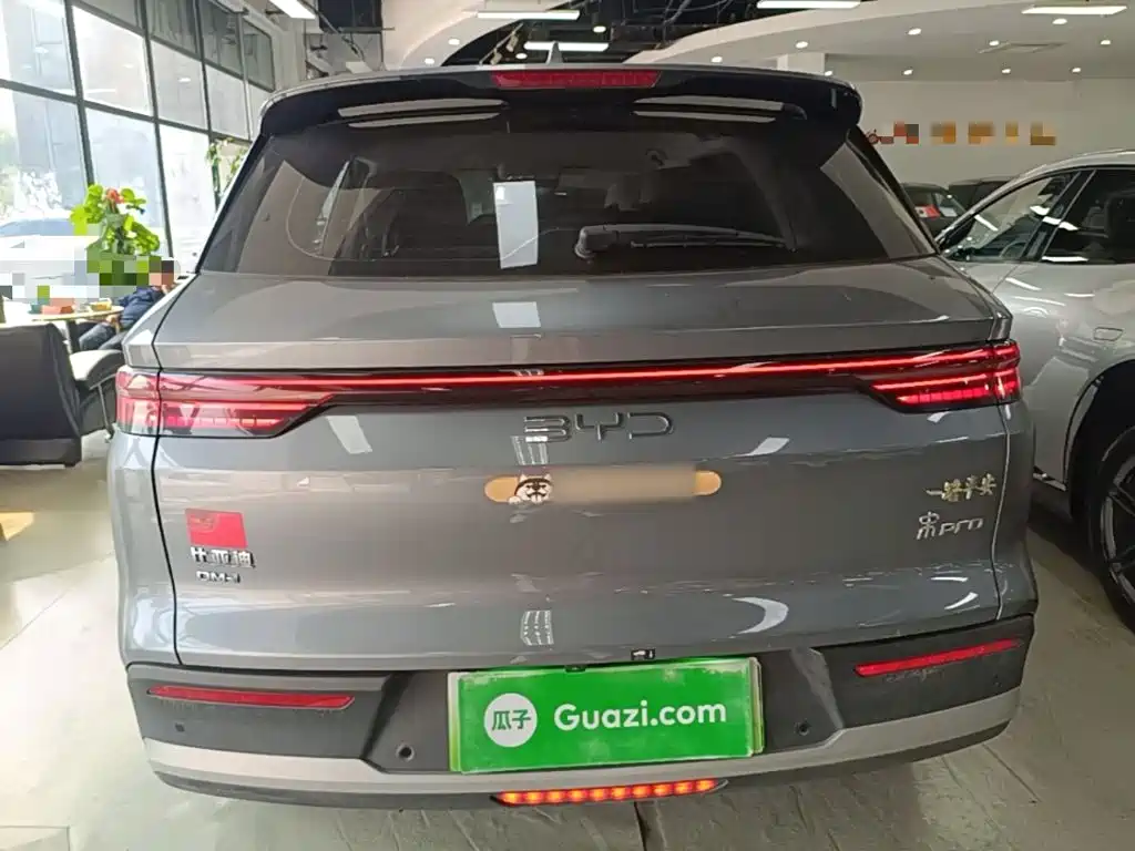 BYD Pro New Energy — миниатюра 6