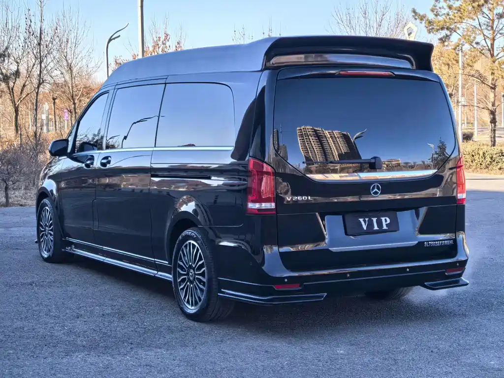 Mercedes-Benz V-Class V 2018 V 260 L Luxury Long Wheelbase VI