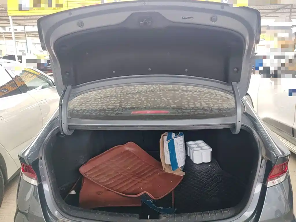 Hyundai Fista — миниатюра 19