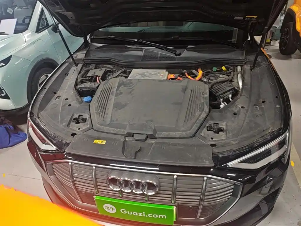 Audi e-tron (Import) — миниатюра 20