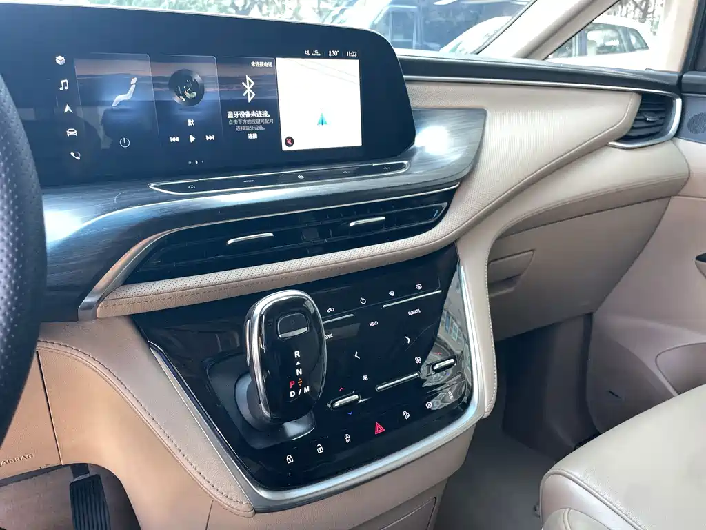 Buick GL8 — миниатюра 16