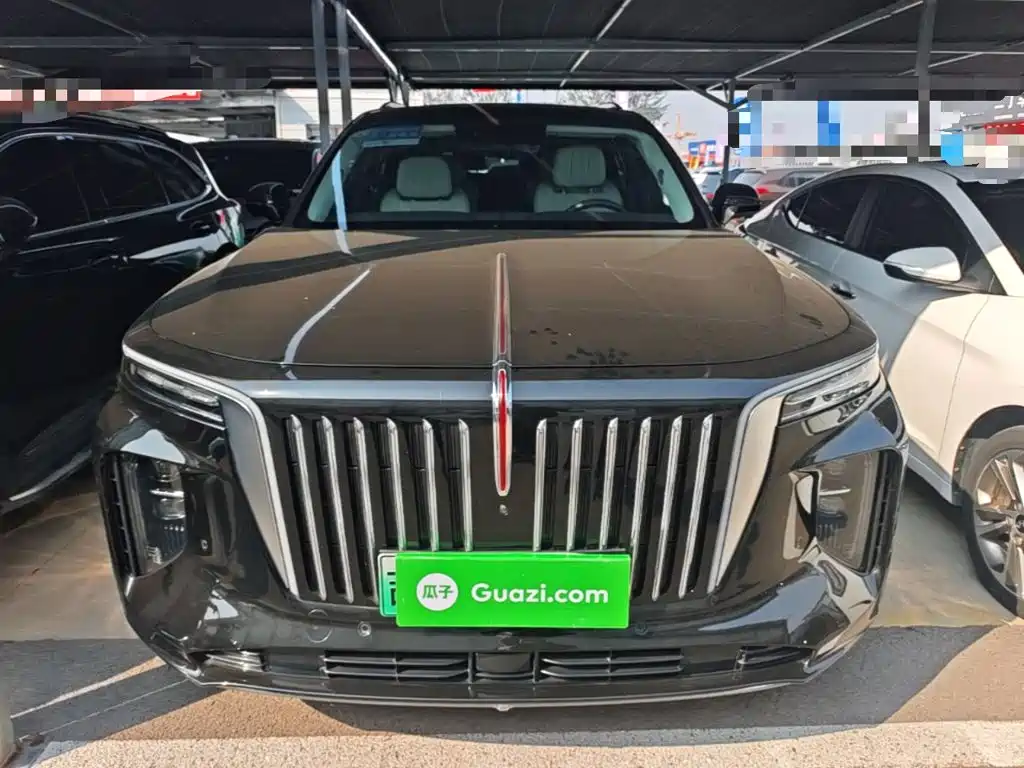 Hongqi Hongqi E-HS9 — миниатюра 3
