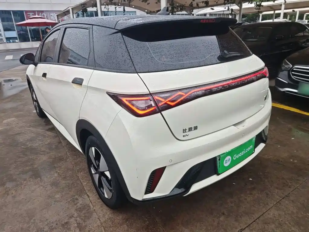 BYD Dolphin — миниатюра 5