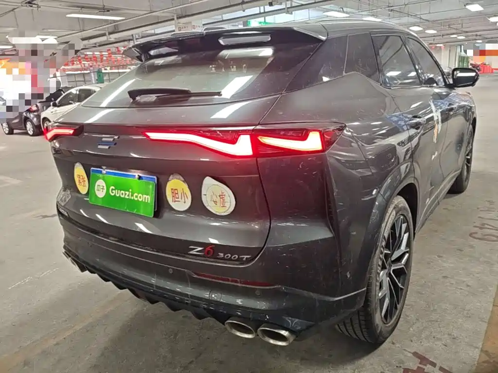 Oshan Oushang Z6 — миниатюра 7