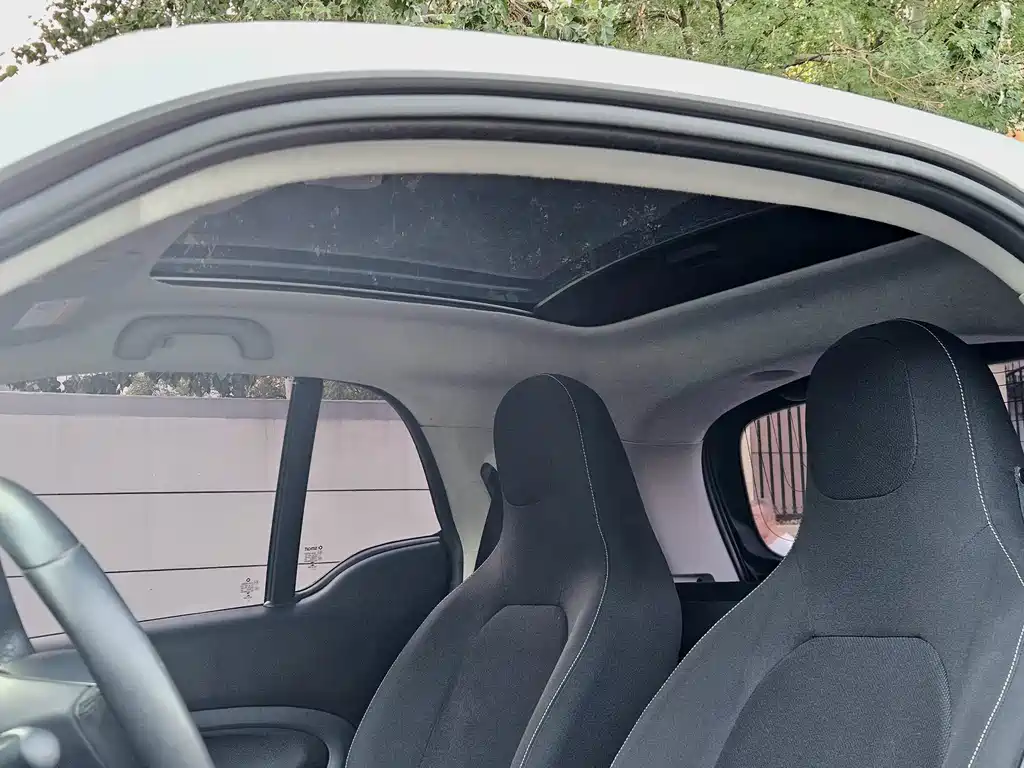 smart Smart Fortwo — миниатюра 11