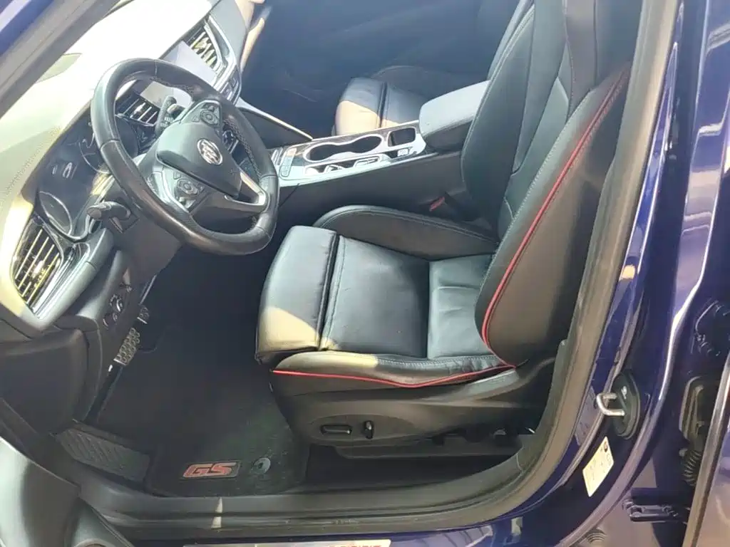 Buick Regal — миниатюра 15