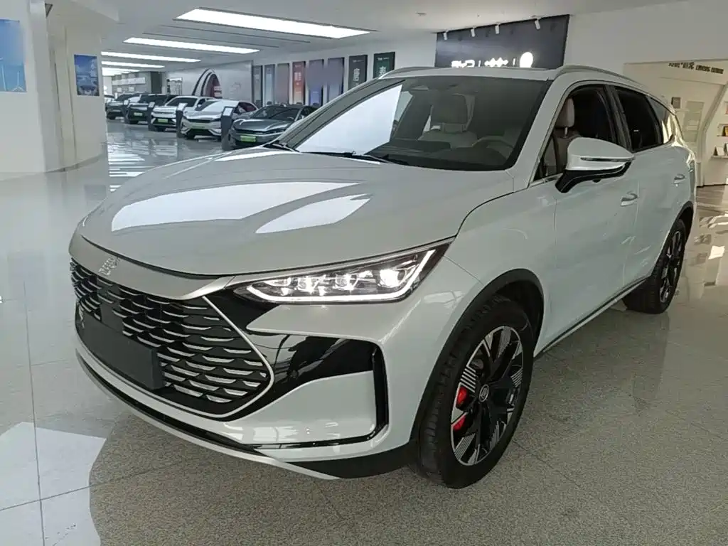 BYD Tang New Energy — миниатюра 2