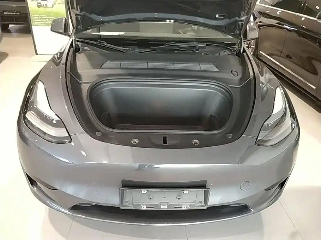 Tesla Model Y — миниатюра 20