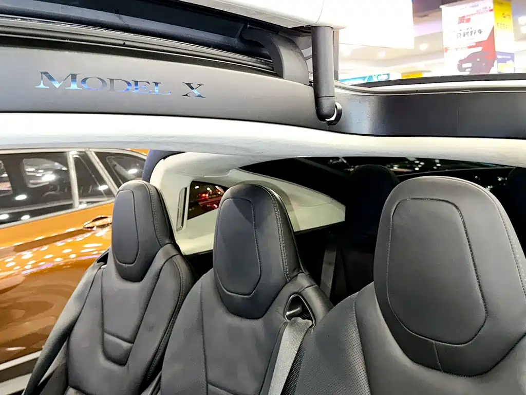Tesla Model X — миниатюра 15