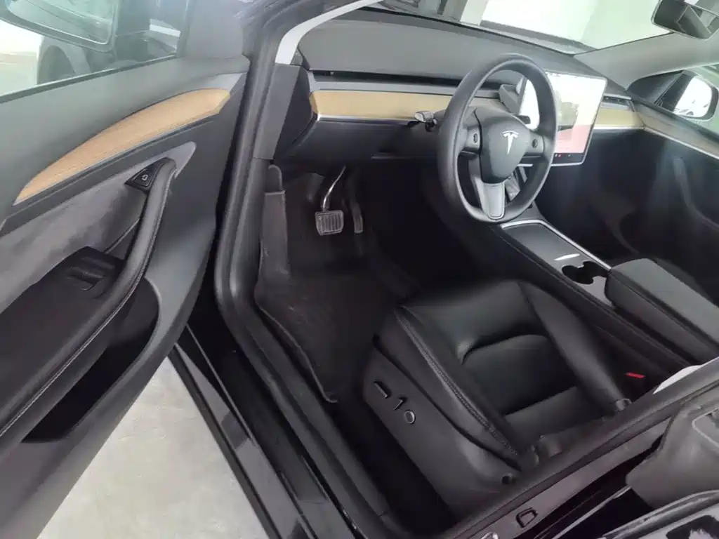 Tesla Model Y — миниатюра 16