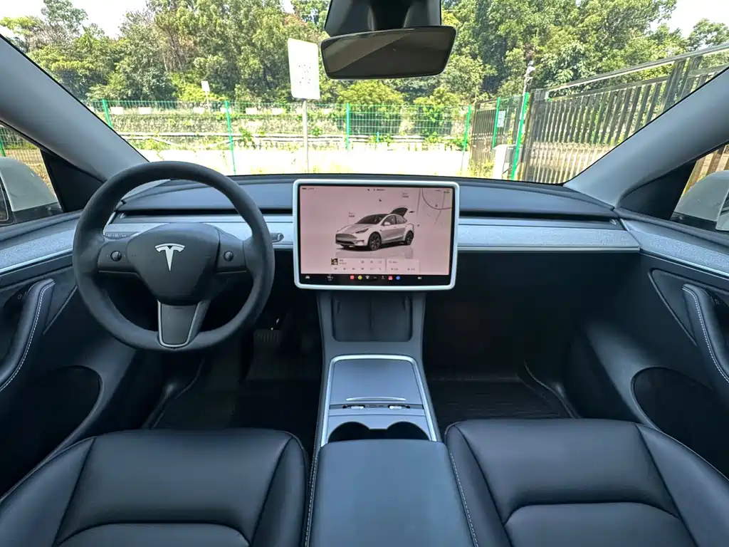 Tesla Model Y — миниатюра 5