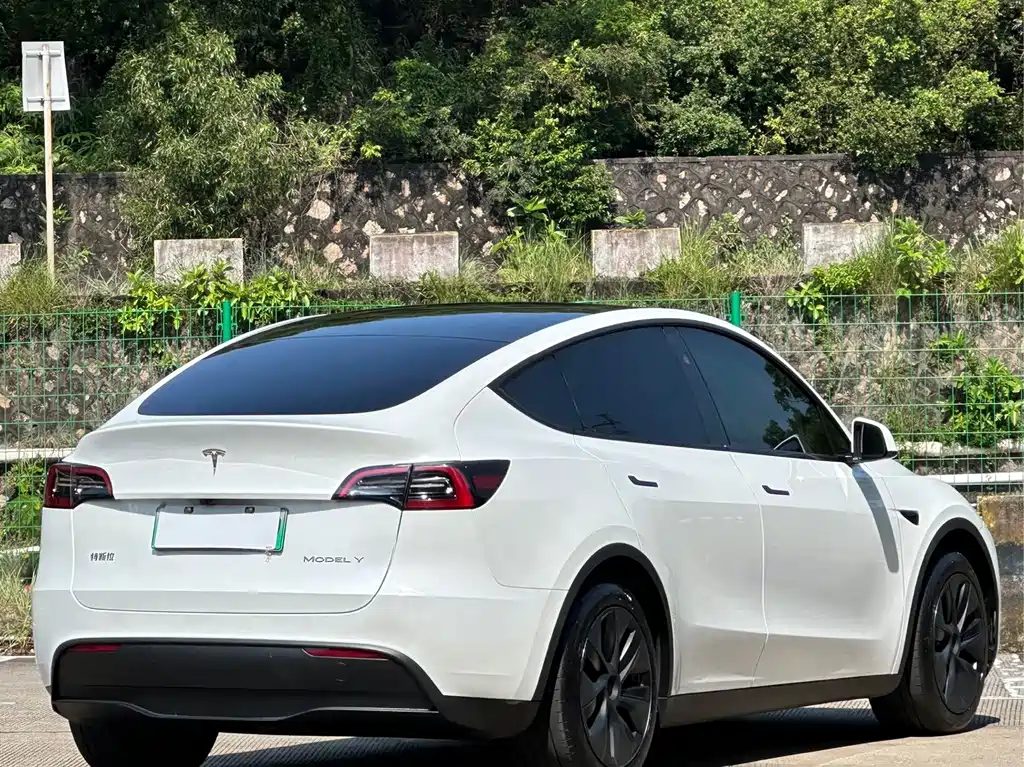 Tesla Model Y — миниатюра 13
