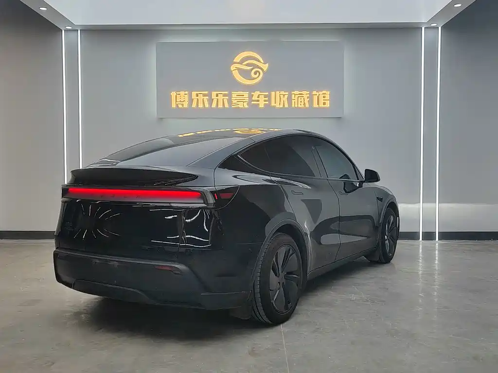 Tesla Model Y — миниатюра 6