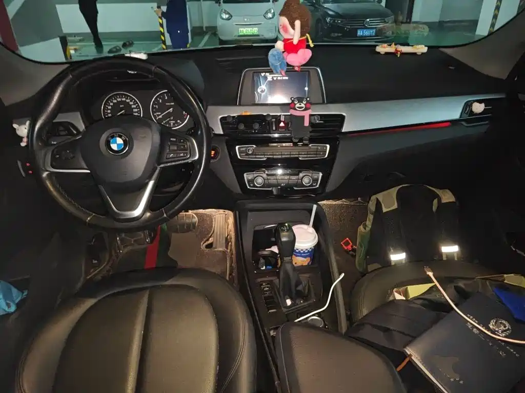 BMW X1 — миниатюра 10