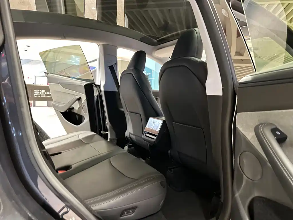 Tesla Model Y — миниатюра 13