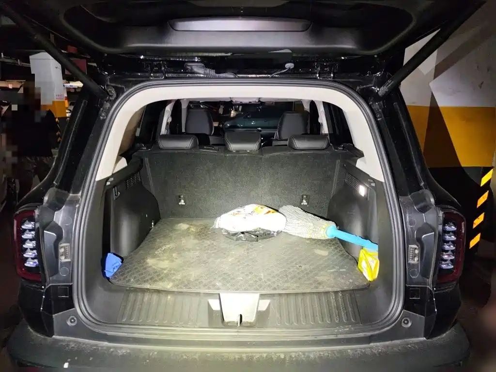 Haval Big Dog — миниатюра 15