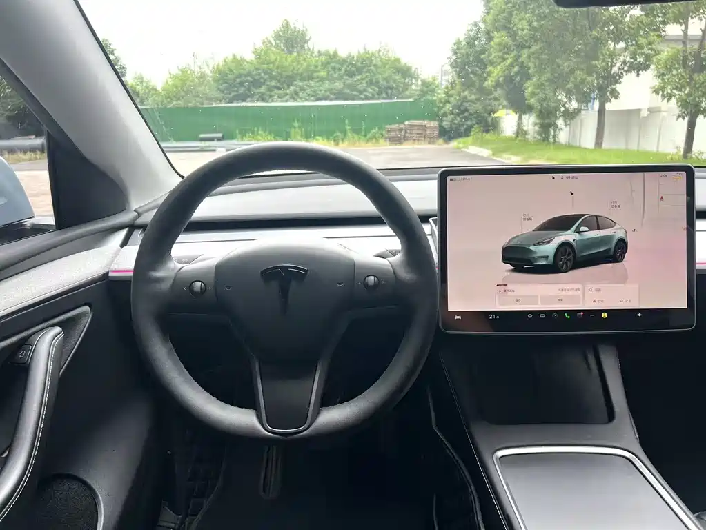 Tesla Model Y — миниатюра 13