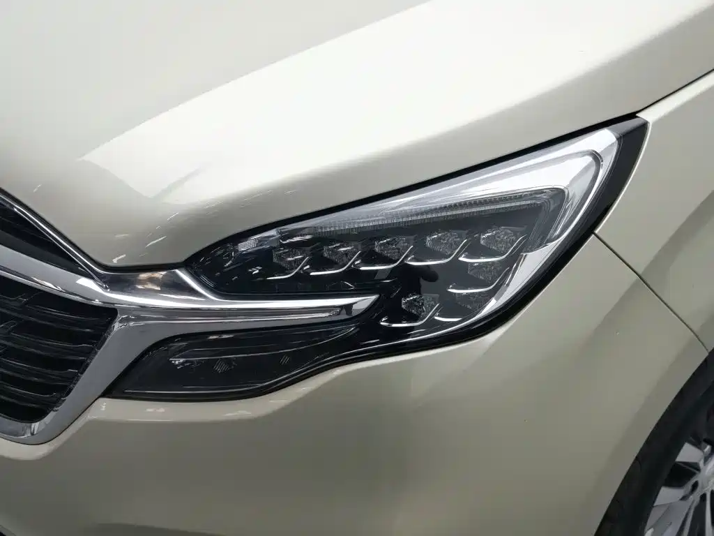 Buick GL8 — миниатюра 7