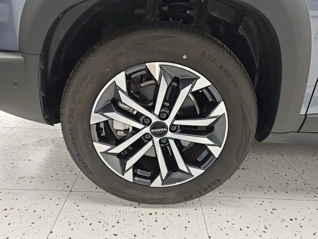 Haval Big Dog — миниатюра 23
