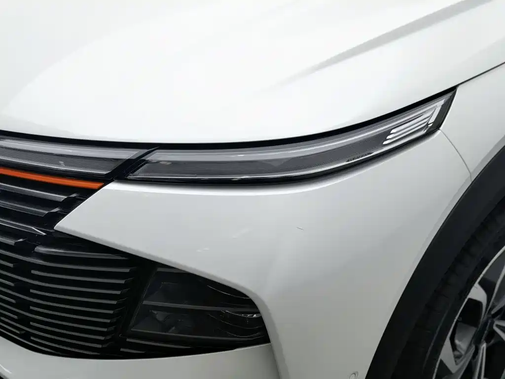 Haval Shenshou — миниатюра 7