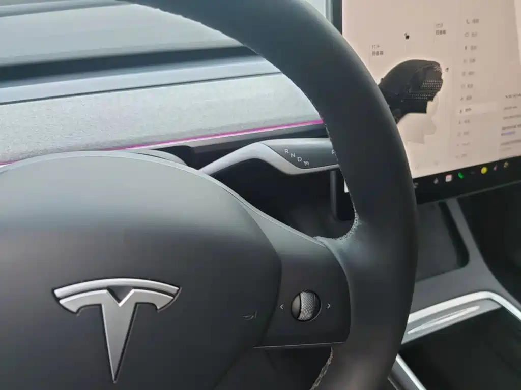 Tesla Model Y — миниатюра 14